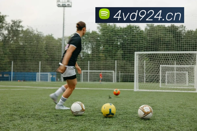 星空体育(中国)官网APP 封面图